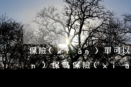保險(xiǎn)單可以訴訟保全擔(dān)保嗎(保險(xiǎn)公司訴前財(cái)產(chǎn)保全擔(dān)保費(fèi)用)