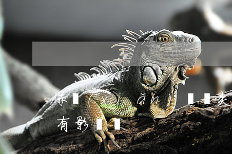 保險(xiǎn)單遺失對(duì)理賠有影響嗎
