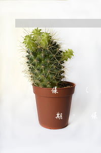 保險(xiǎn)多長時(shí)間為逾期-保險(xiǎn)可以逾期多長時(shí)間