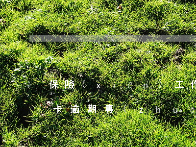 保險(xiǎn)工作人員信用卡逾期(信用卡逾期專(zhuān)人負(fù)責(zé))