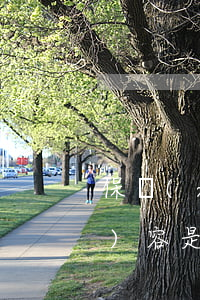 保險(xiǎn)法修改部分的內(nèi)容是什么