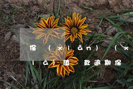 保險(xiǎn)現(xiàn)金價(jià)值貸款逾期(保險(xiǎn)現(xiàn)金價(jià)值貸款逾期)