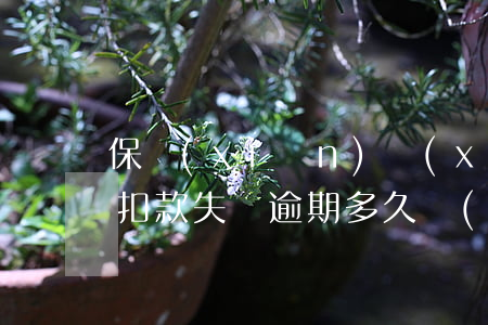 保險(xiǎn)續(xù)費(fèi)扣款失敗逾期多久會(huì)失效(保險(xiǎn)續(xù)費(fèi)逾期多久在有效期之內(nèi))