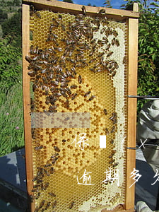 保險(xiǎn)續(xù)費(fèi)逾期多久在有效期之內(nèi)-保險(xiǎn)續(xù)費(fèi)逾期多久在有效期之內(nèi)處理