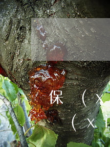 保險(xiǎn)貸逾期短信提醒起訴-保險(xiǎn)貸款逾期被起訴怎么辦