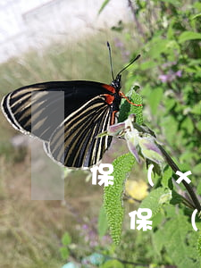 保險(xiǎn)賠償了個(gè)還賠償嗎(保險(xiǎn)夠賠還需自己賠?)