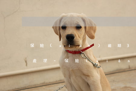 保險(xiǎn)逾期3個(gè)月怎么處理-保險(xiǎn)逾期三個(gè)月