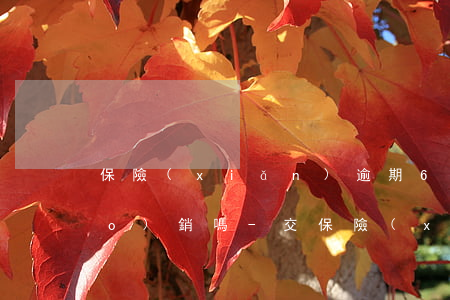 保險(xiǎn)逾期60天還能報(bào)銷嗎-交保險(xiǎn)逾期60天之內(nèi)交不會有問題吧!
