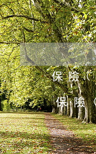 保險(xiǎn)逾期三年了了怎么辦 如果保險(xiǎn)繳費(fèi)逾期3天怎么辦