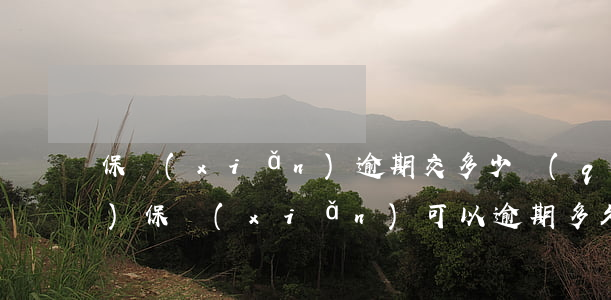 保險(xiǎn)逾期交多少錢(qián)(保險(xiǎn)可以逾期多久交)
