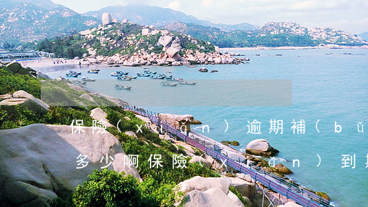保險(xiǎn)逾期補(bǔ)交交警法多少啊(保險(xiǎn)到期交警罰款多少)