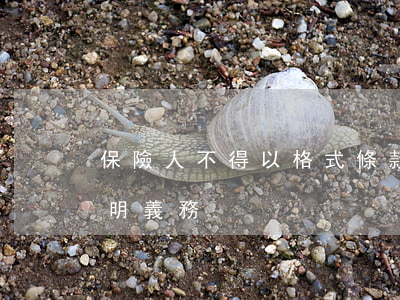 保險人不得以格式條款免除對格式條款的說明義務