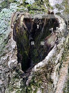 保險介入了還需要出錢嗎
