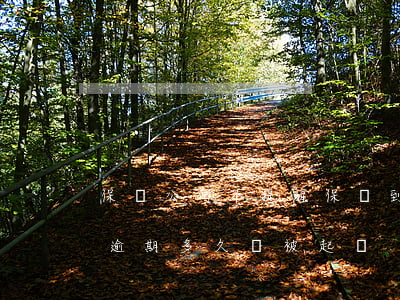 保險公司不提醒保單到期能起訴嗎（保險保單逾期多久會被起訴）