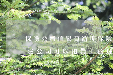 保險公司信譽貸逾期(保險公司信譽貸逾期保險公司可以扣員工的理賠款嗎)