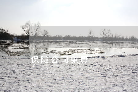 保險公司免費