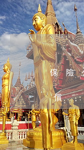 保險公司怎么賠償后期(保險公司多長時間賠償)