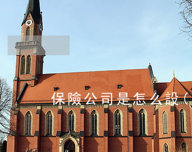 保險公司是怎么設(shè)立的