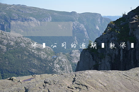 保險公司的逾期貸款(保險可以逾期嗎)