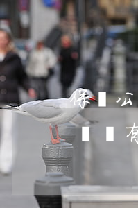 保險公司超過判決書規(guī)定日期不給錢有什么辦法