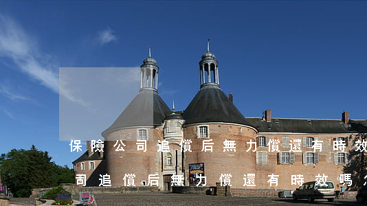 保險公司追償后無力償還有時效嗎-保險公司追償后無力償還有時效嗎怎么辦