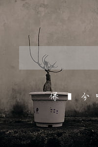 保險分哪幾種類型