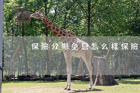 保險分期免息怎么樣 保險分期繳費怎么理賠