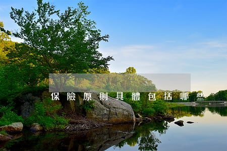保險原則具體包括哪些