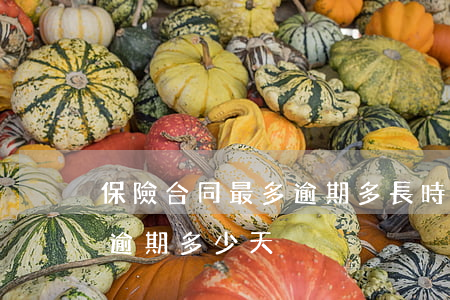保險合同最多逾期多長時間不賠-保險合同逾期多少天