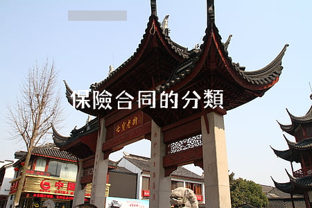 保險合同的分類