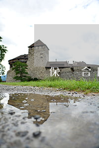保險合同的有效條件是什么