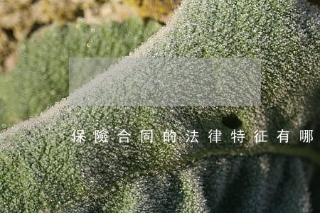 保險合同的法律特征有哪些