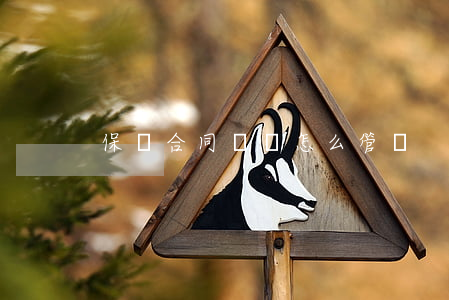 保險合同糾紛怎么管轄