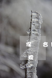保險合同糾紛管轄權(quán)是哪個法院