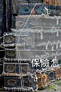 保險怎么繼承人(保險繼承需要什么手續(xù))