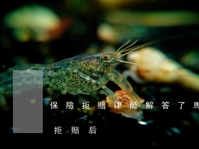 保險拒賠律師解答了馬上金融逾期(保險公司拒賠后)