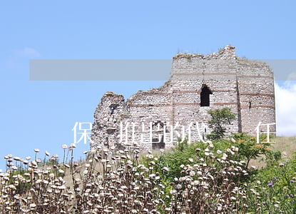 保險推出的代駕責任險是什么