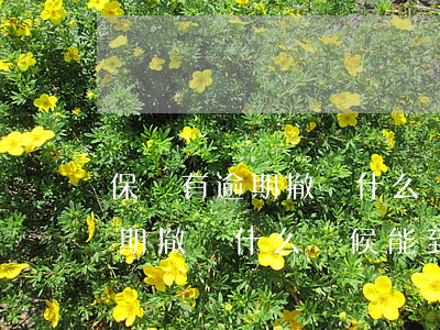 保險有逾期撤單什么時候能到賬-保險有逾期撤單什么時候能到賬呢