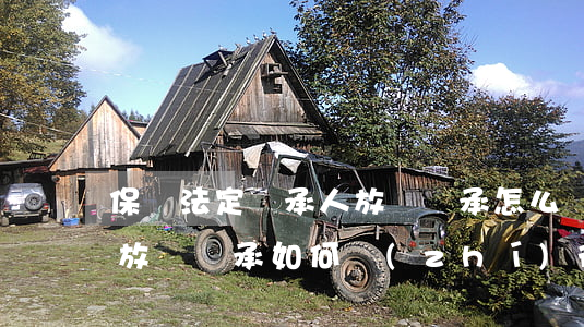保險法定繼承人放棄繼承怎么辦理(被繼承人放棄繼承 如何執(zhí)行)