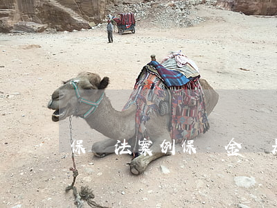 保險法案例（保險金額是什么意思）