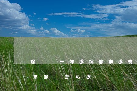 保險滿一年退保逾期退有影響嗎-保險滿一年退費怎么退