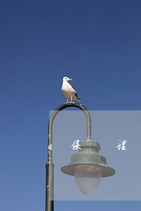 保險理賠訴狀范本(保險公司理賠申請書)