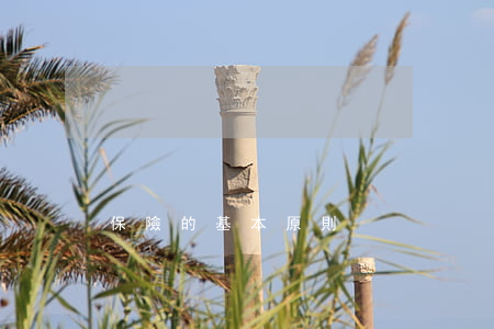 保險的基本原則