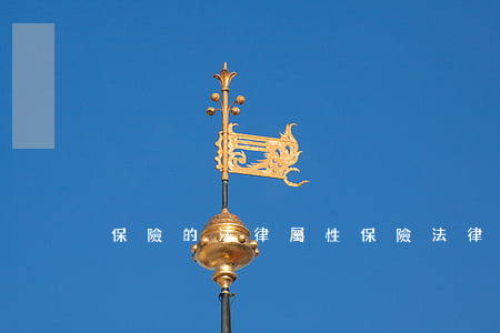 保險的法律屬性(保險法律關系的特點)