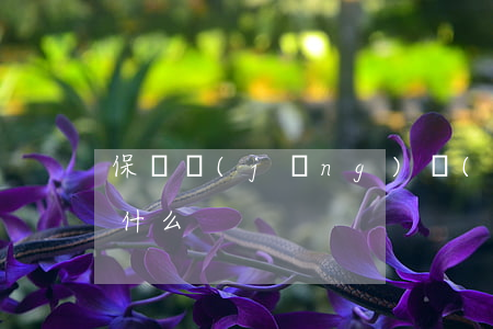 保險經(jīng)紀(jì)人的含義是什么