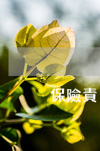 保險責(zé)任怎么確定
