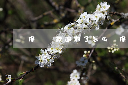 保險貸款逾期了怎么辦(保險逾期怎么處理)