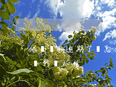 保險貸款逾期了會怎么樣(保險貸款逾期多久會影響征信)