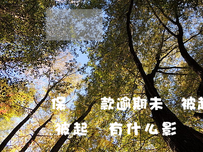 保險貸款逾期未還被起訴(擔保的貸款逾期后被起訴有什么影響)