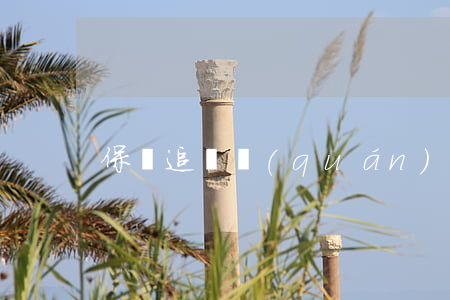 保險追償權(quán)糾紛答辯狀